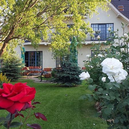 Villa Westfalia Guest House Tîrgu Secuiesc Zewnętrze zdjęcie