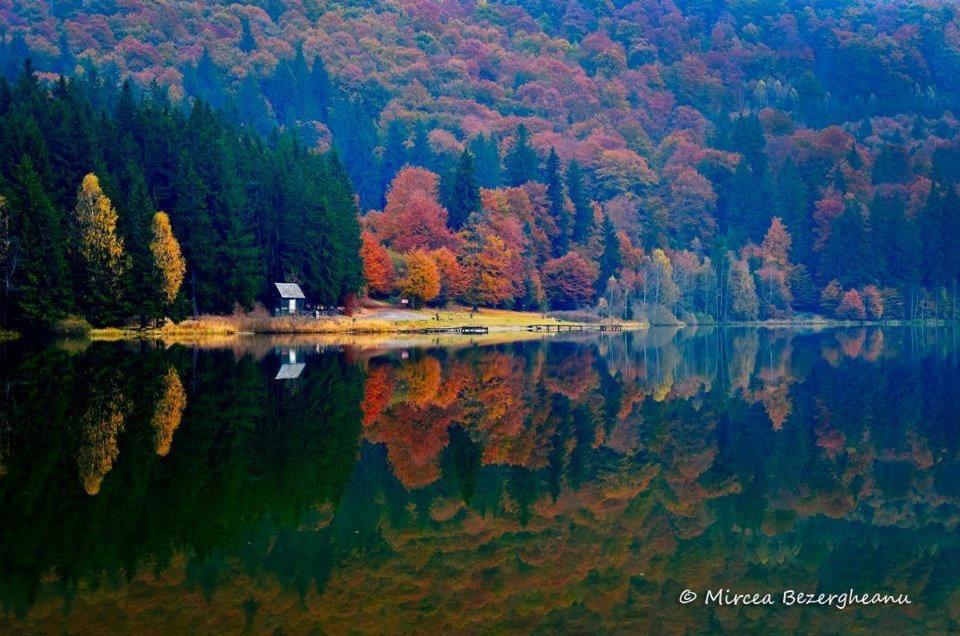 Villa Westfalia Guest House Tîrgu Secuiesc Zewnętrze zdjęcie
