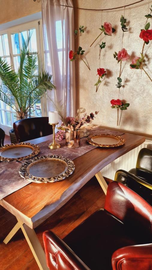 Villa Westfalia Guest House Tîrgu Secuiesc Zewnętrze zdjęcie
