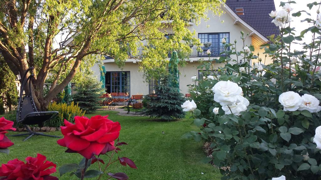 Villa Westfalia Guest House Tîrgu Secuiesc Zewnętrze zdjęcie