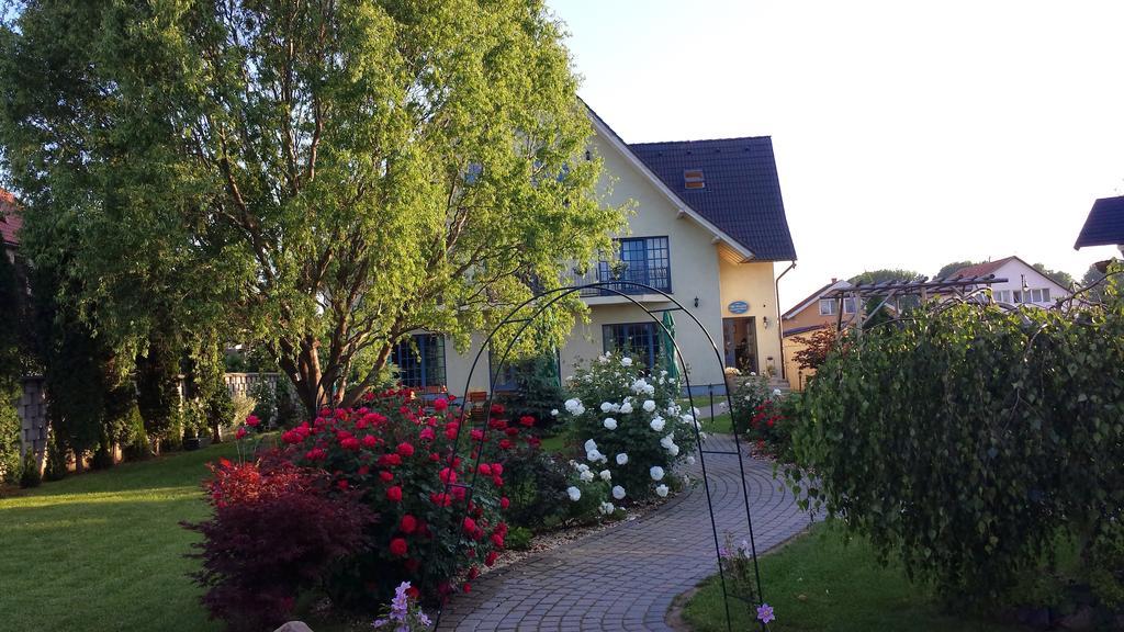Villa Westfalia Guest House Tîrgu Secuiesc Zewnętrze zdjęcie
