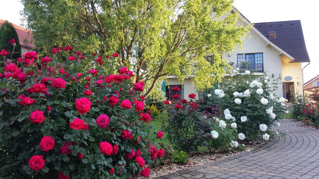 Villa Westfalia Guest House Tîrgu Secuiesc Zewnętrze zdjęcie