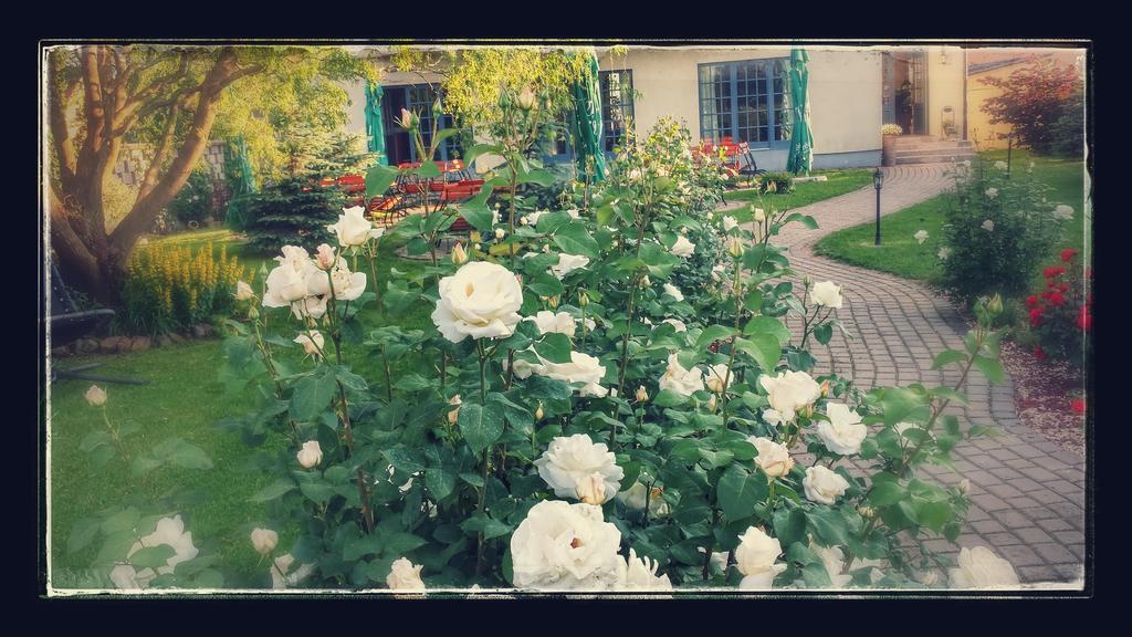 Villa Westfalia Guest House Tîrgu Secuiesc Zewnętrze zdjęcie
